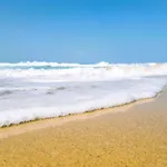 Ivory Ocean