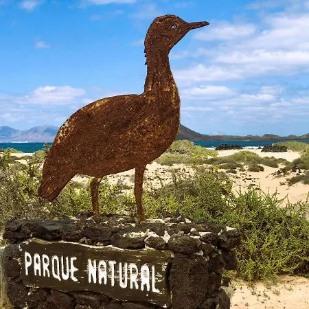 Ivory Ocean * Corralejo